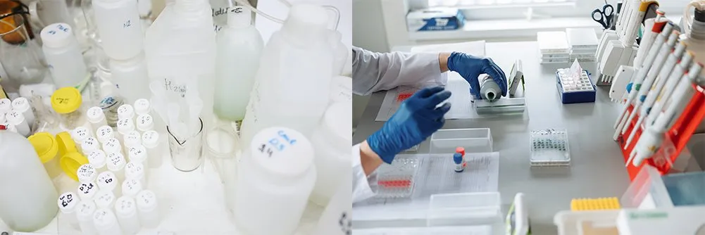 pexels-polina-tankilevitch pexels-polina-tankilevitch